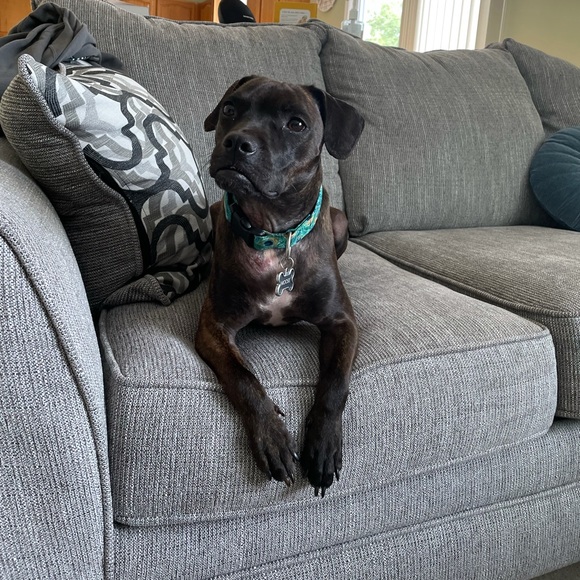 Follow me on IG: thethriftyteacherr ๐ - Picture 5 of 8